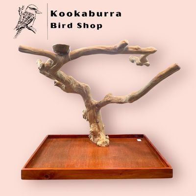 Large Table Top Java Tree Large Table Top Java Tree