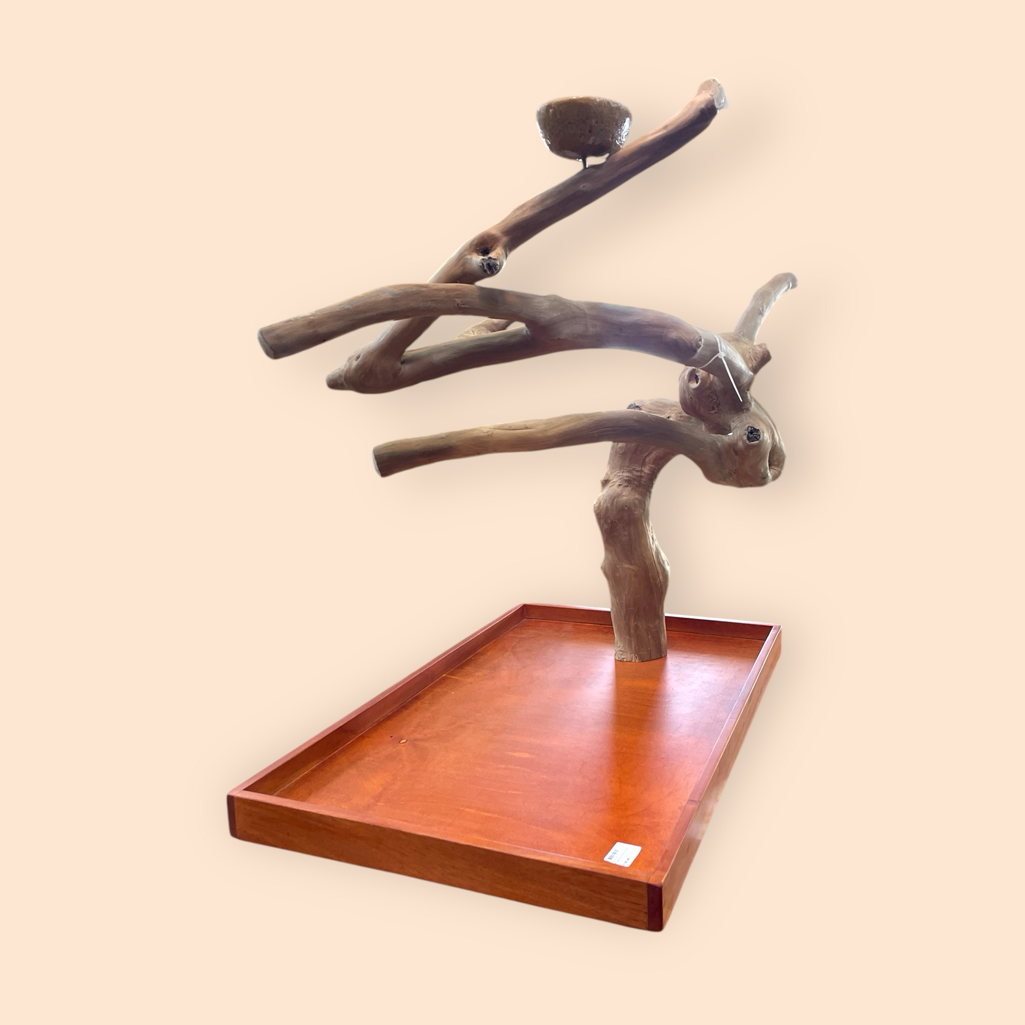 Large Table Top Java Tree