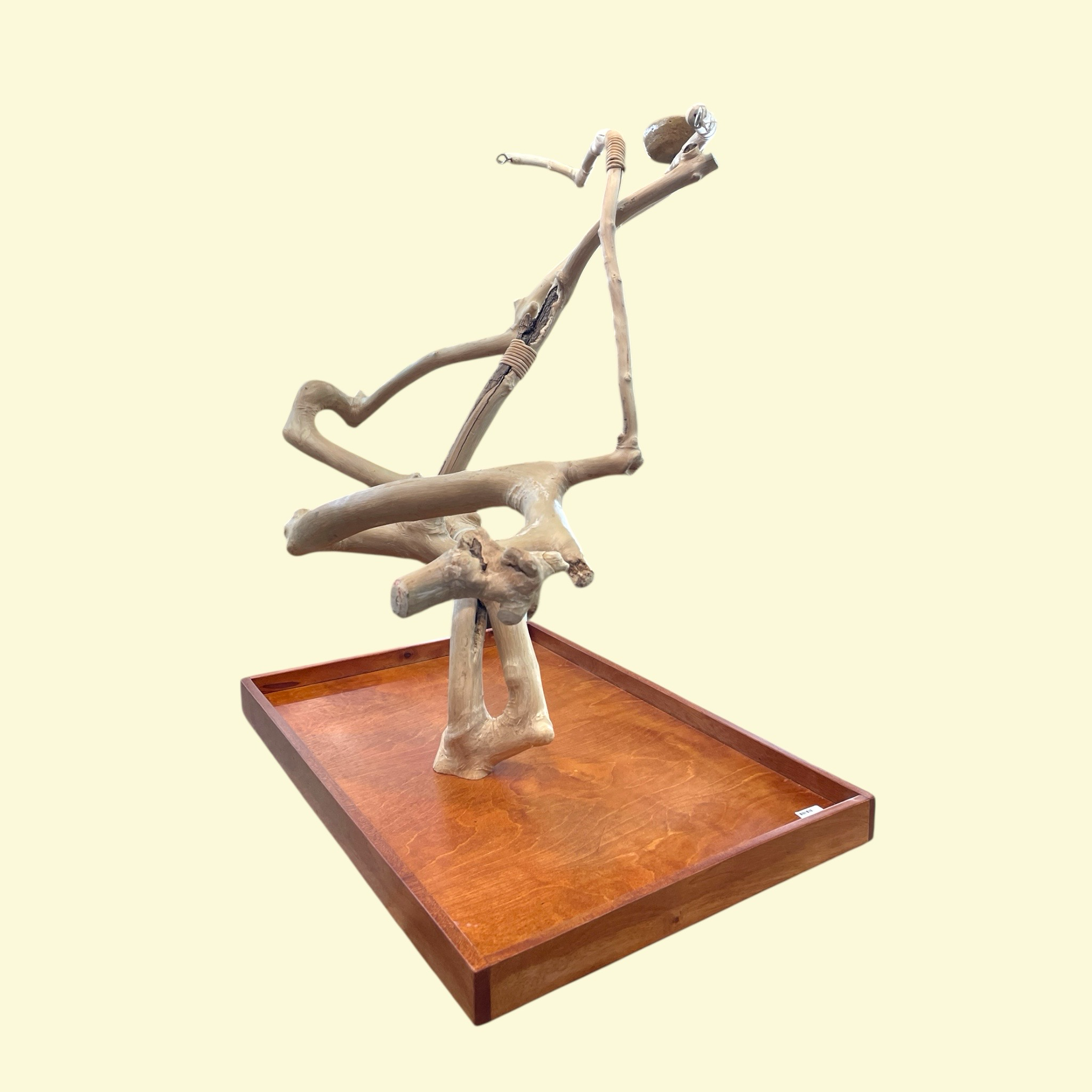 Large Table Top Java Tree