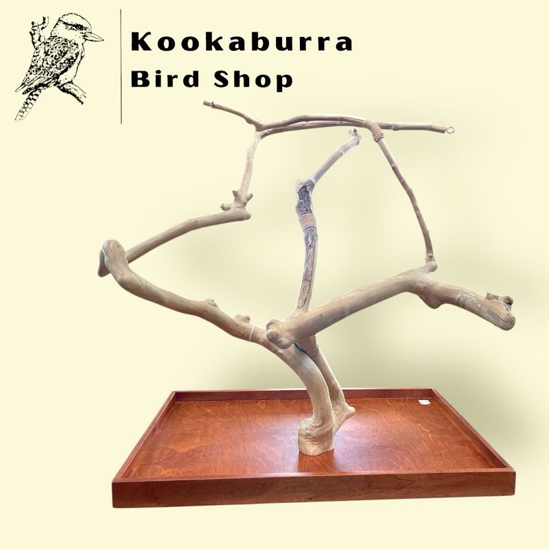 Large Table Top Java Tree