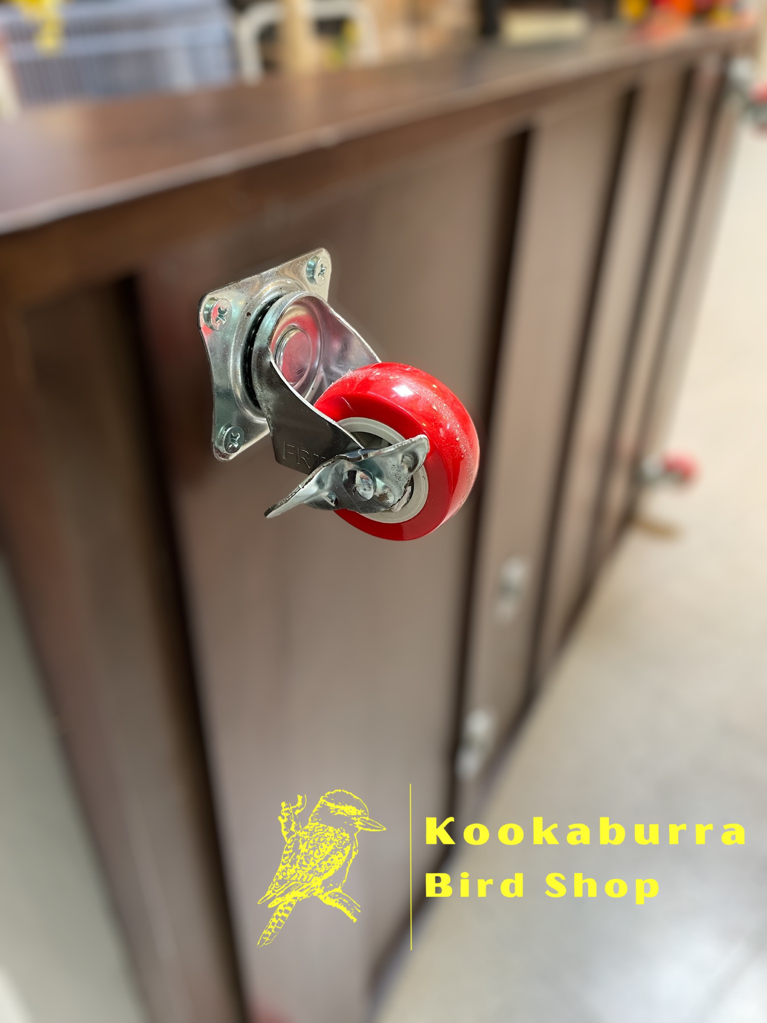 Medium Floor Standing Java Tree