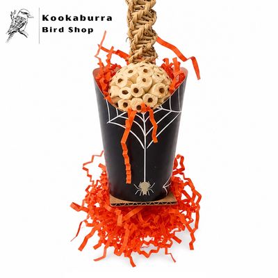 Halloween Spider Cup Halloween Spider Cup