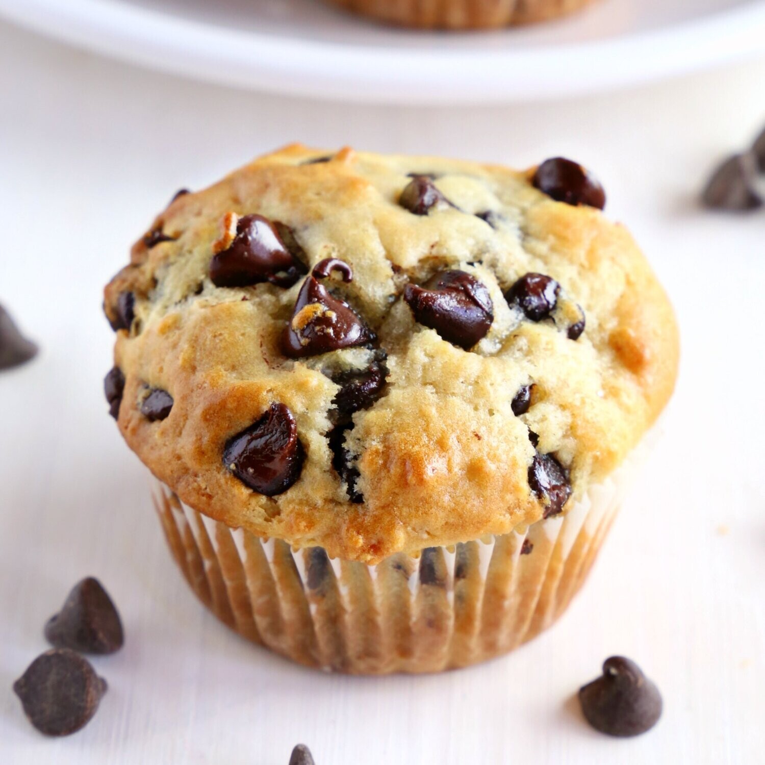 Chocolate Chip Muffin 6.5 oz