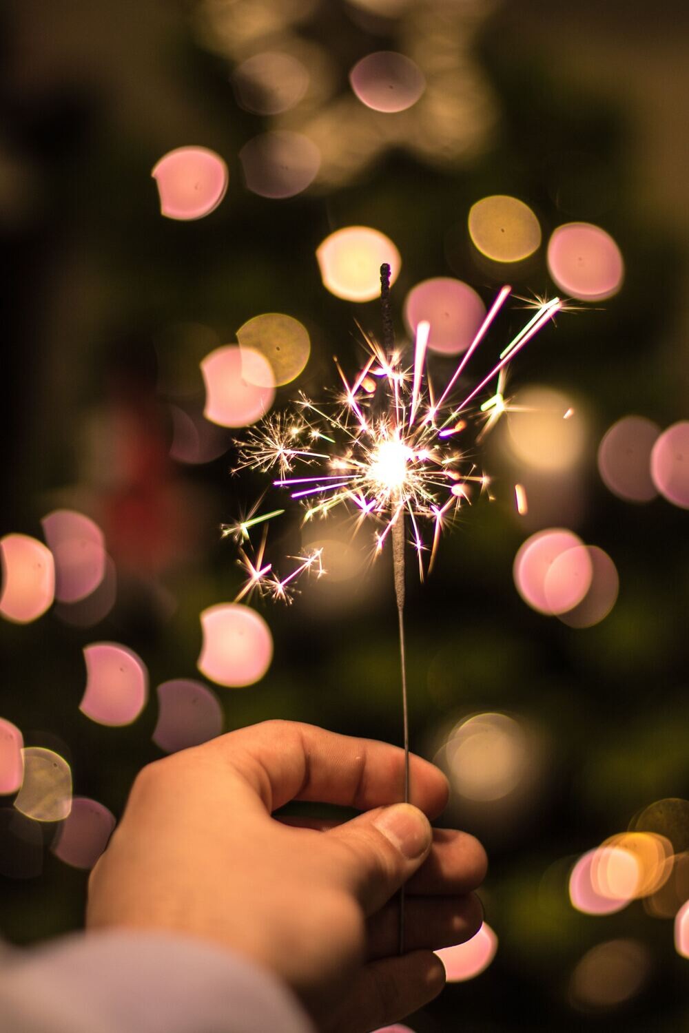 Premium Coaching: 2 Weeks of Personal Support