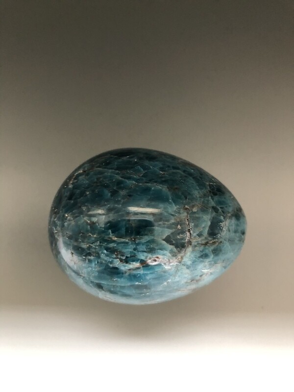 apatite œuf