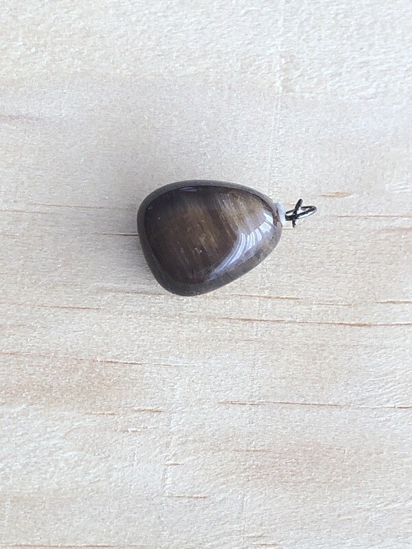 Pendentif de bois fossilisé