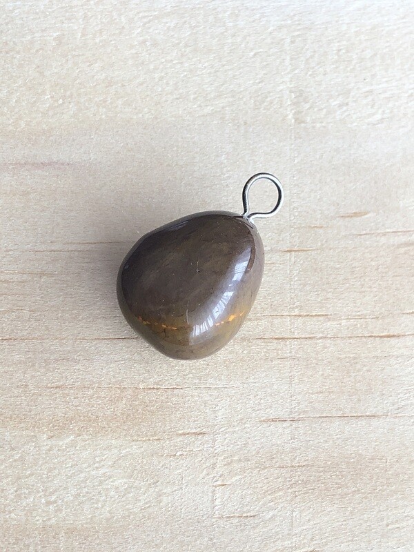Pendentif de bois fossilisé