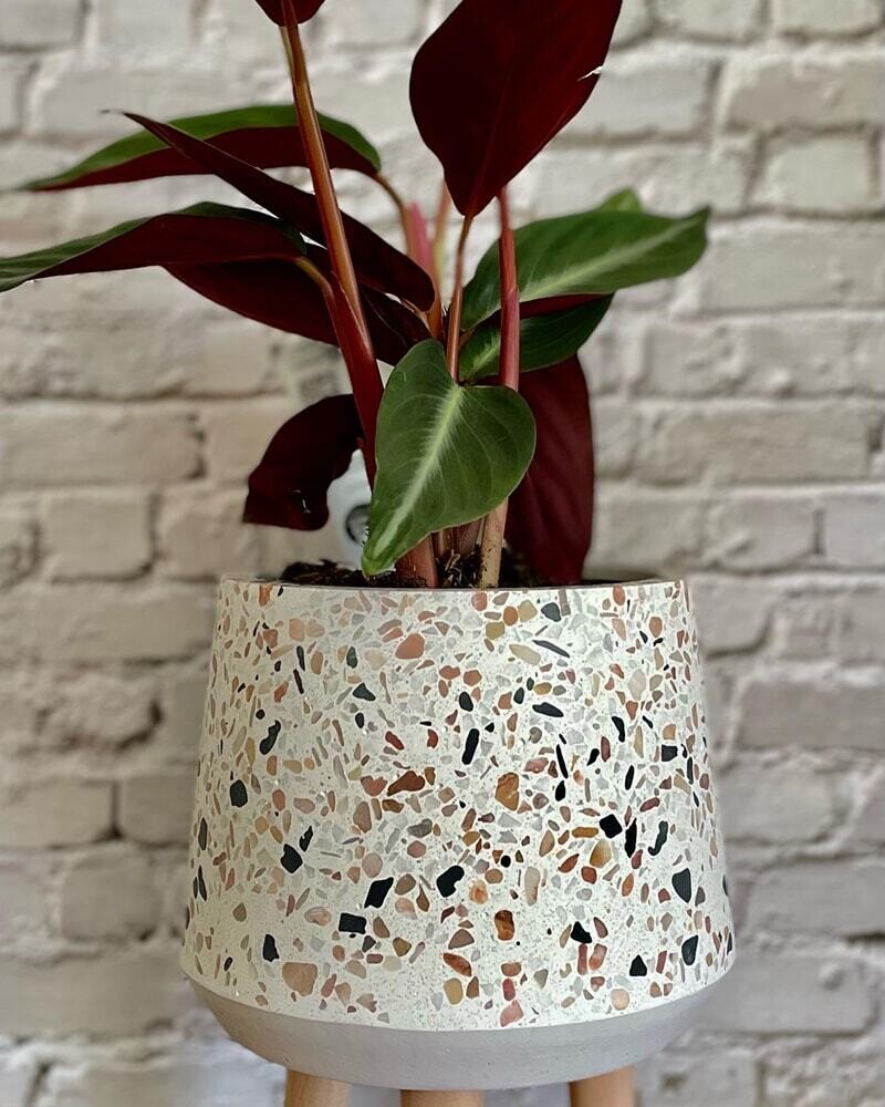 Terrazzo planter with legs inc small plant of your choice (in soil)