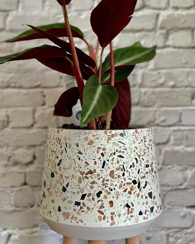 Terrazzo planter with legs inc small plant of your choice (in soil)