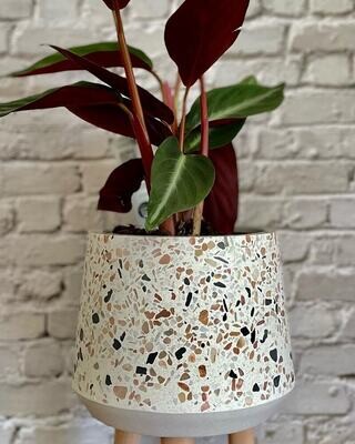 Terrazzo planter with legs inc small plant of your choice (in soil)