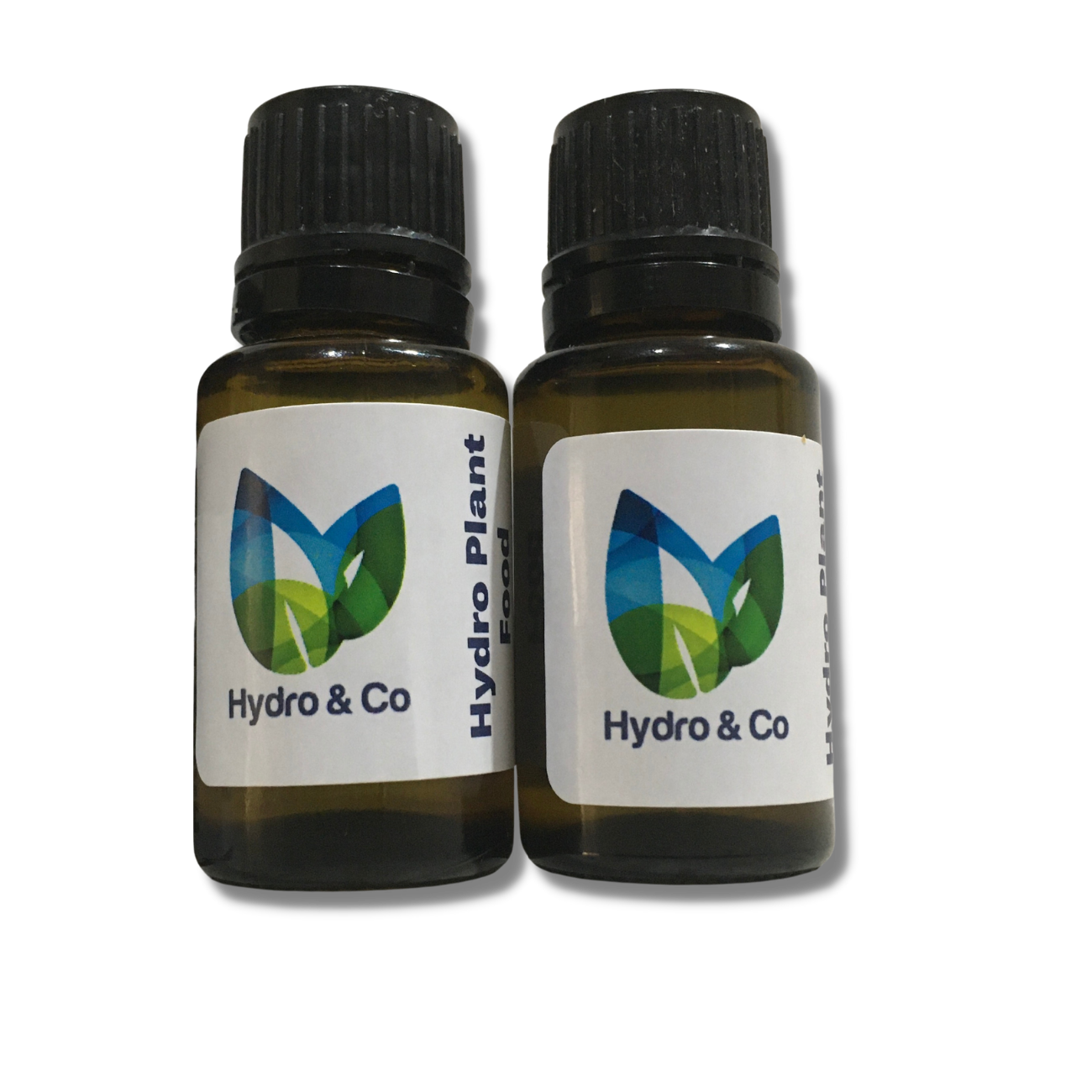 Peace Lily (Medium) in concave glass vessel  - Hydro plant