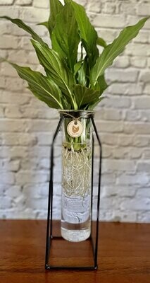 Test Tube and Stand (Large)  - Hydro plant