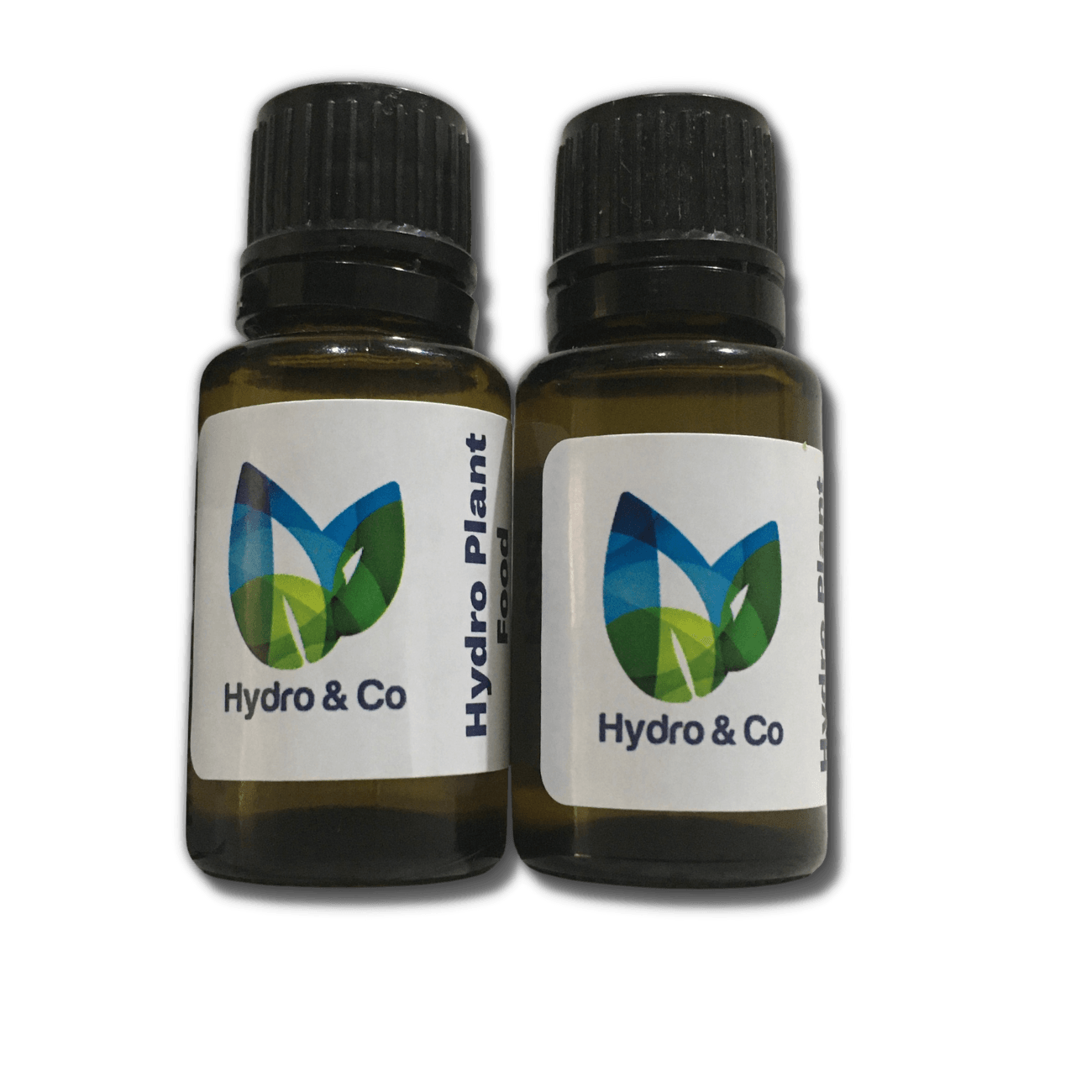 Peace Lily (Large) in Glass Torpedo Vessel