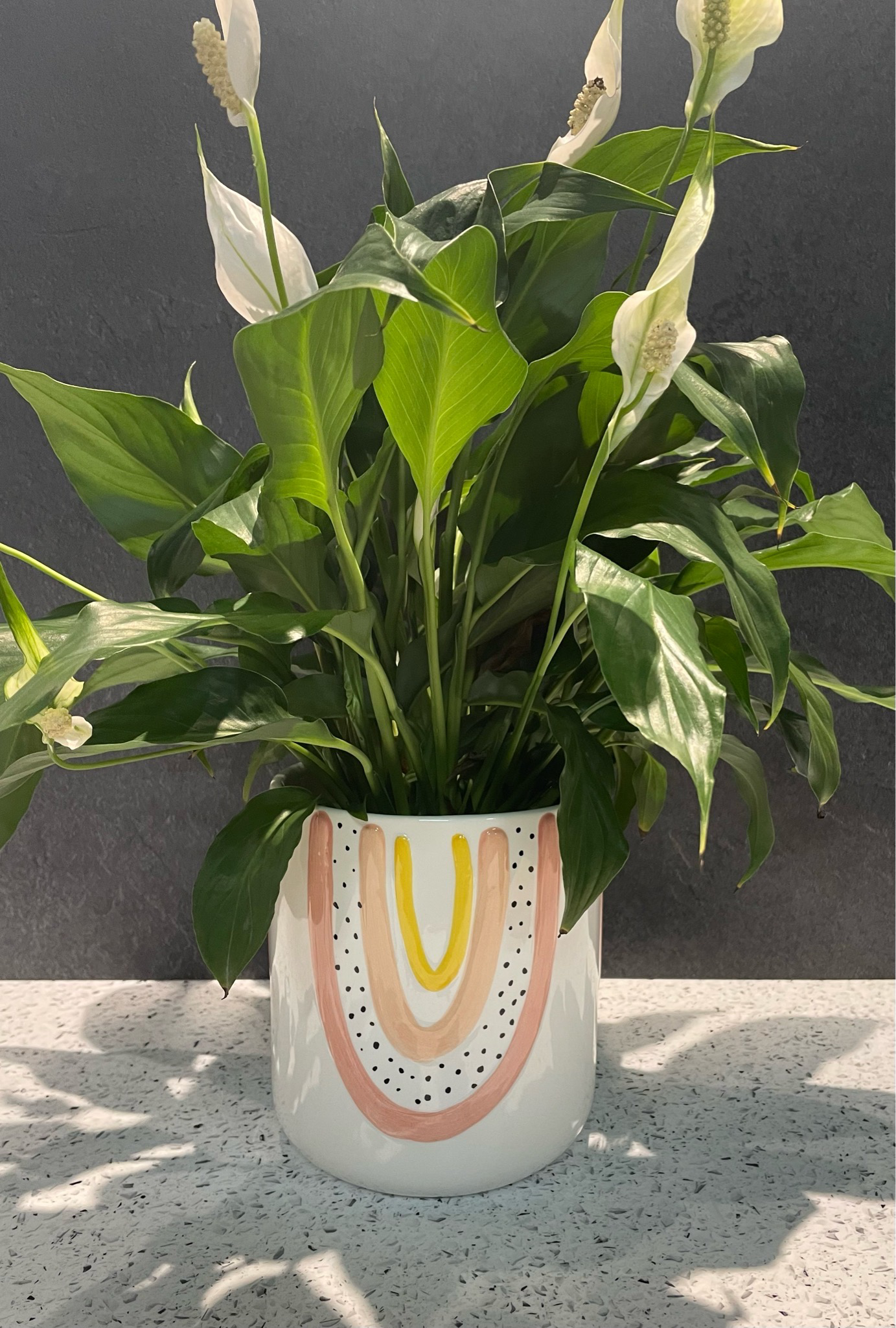 Amber Medium Planter - White 18cm h x 16cm w