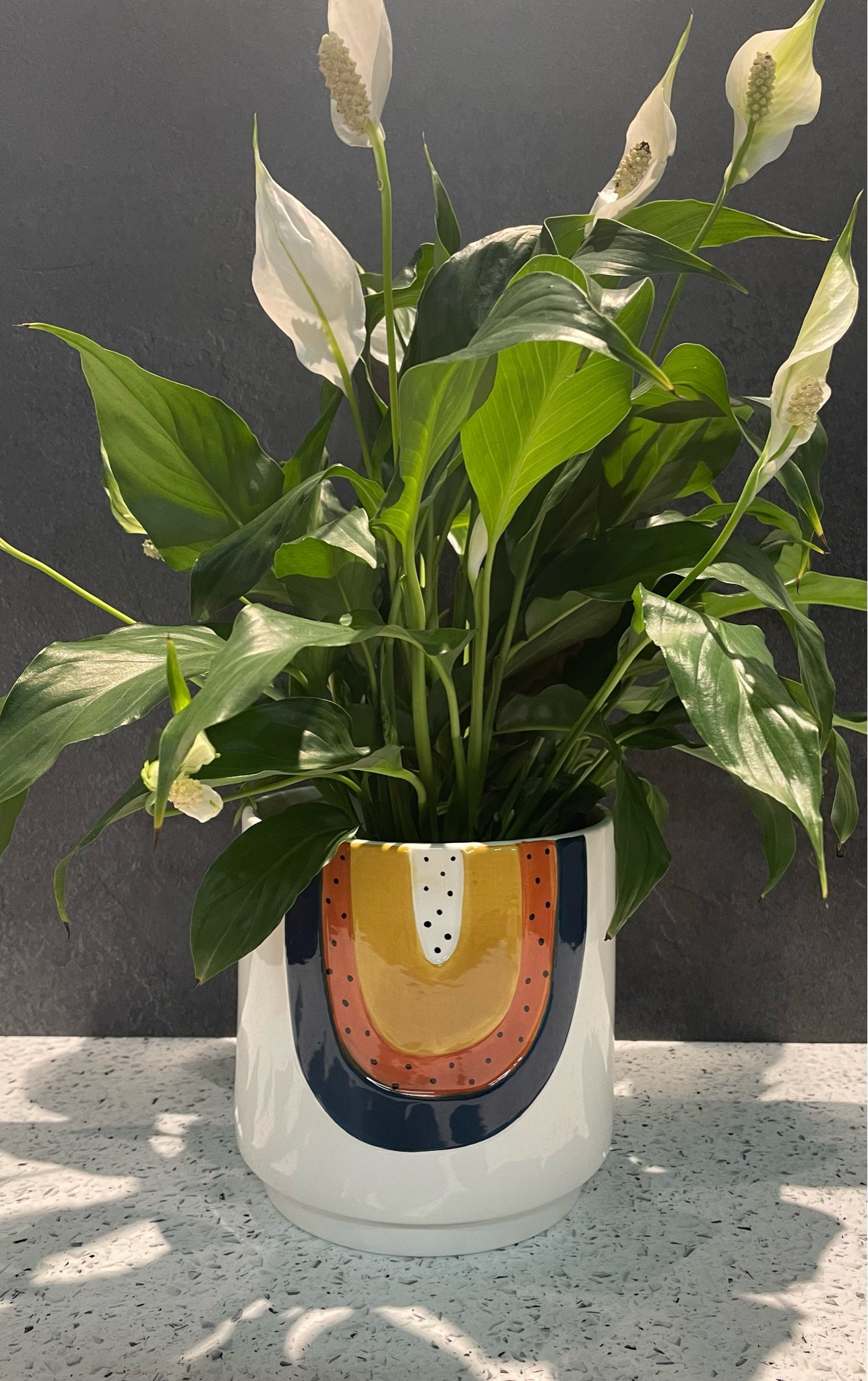 Woodstock Rainbow Medium Planter - Blue & Terracotta 17cm h x 17.5cm w