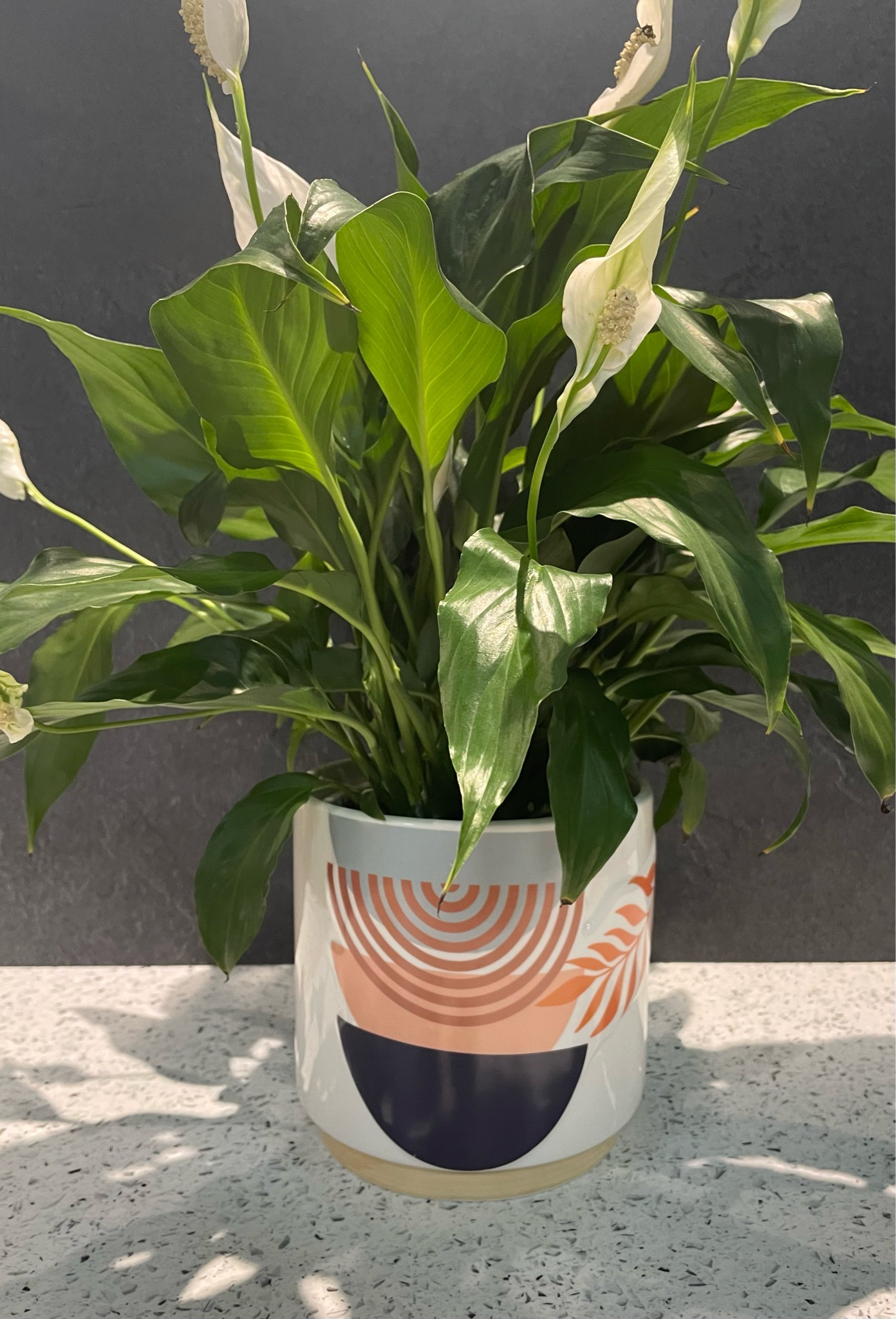 Quinn Abstract Rainbow Large Planter Multi-Colour 16cm h x 16cm w