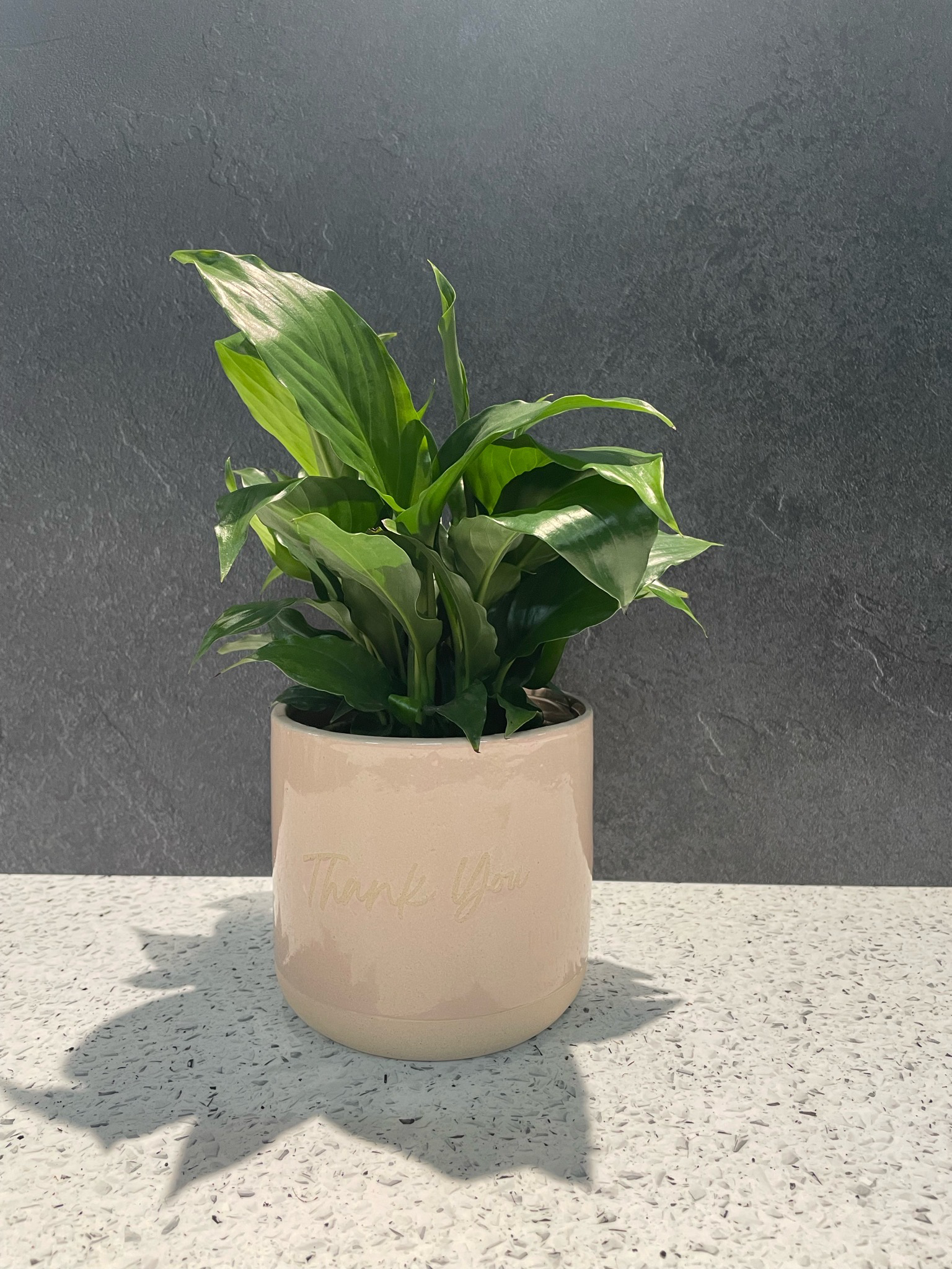 Thank You Small Planter - Pink Sand - 13cm h x 14cm w