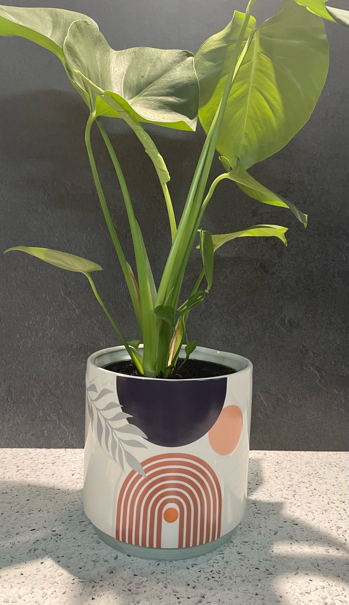 Quinn Abstract Rainbow Large Planter Multi-Colour 19cm h x 19cm w