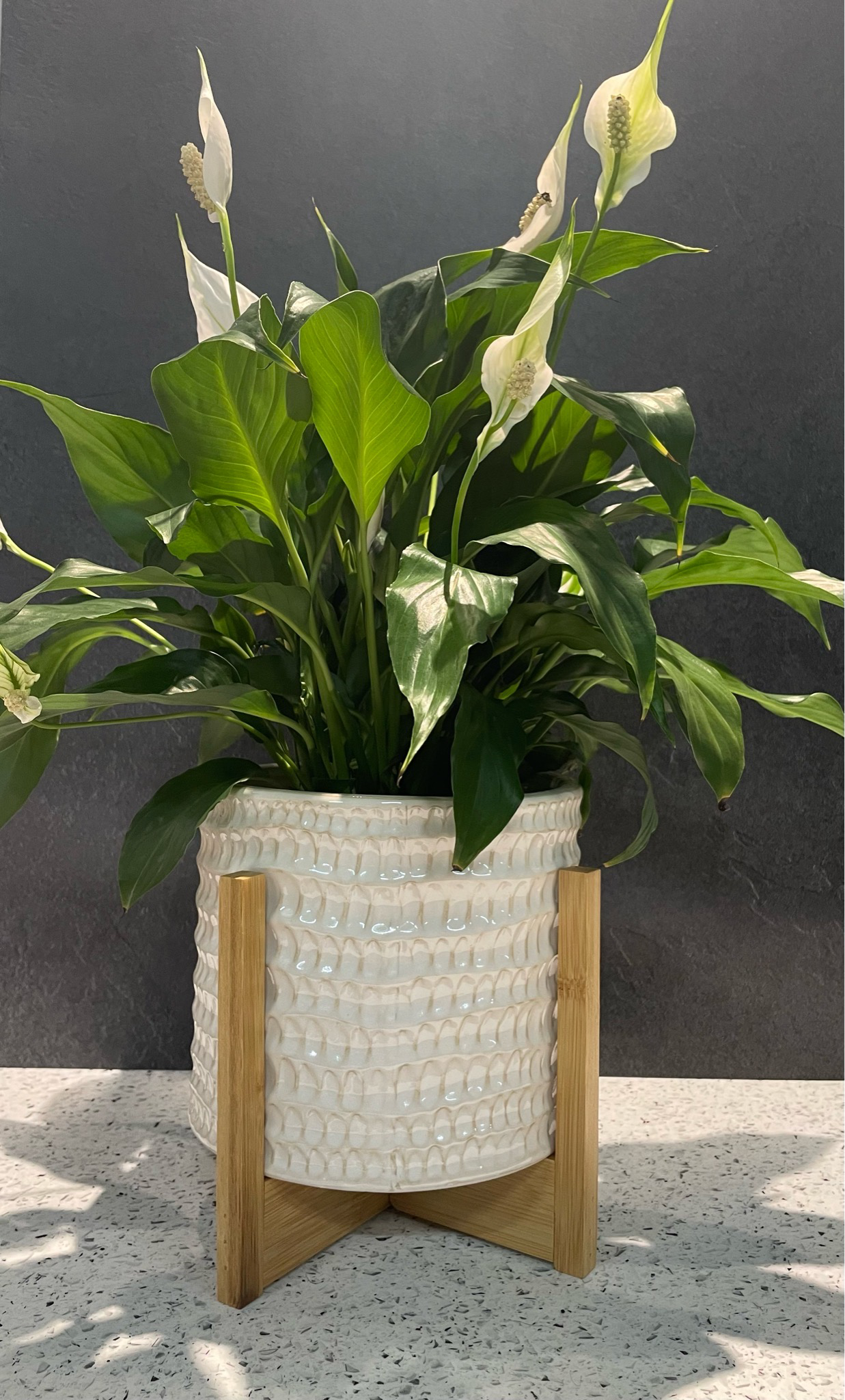 Everly Planter On Legs Medium -White/ Natural 16.7cm h x 19.8cm w