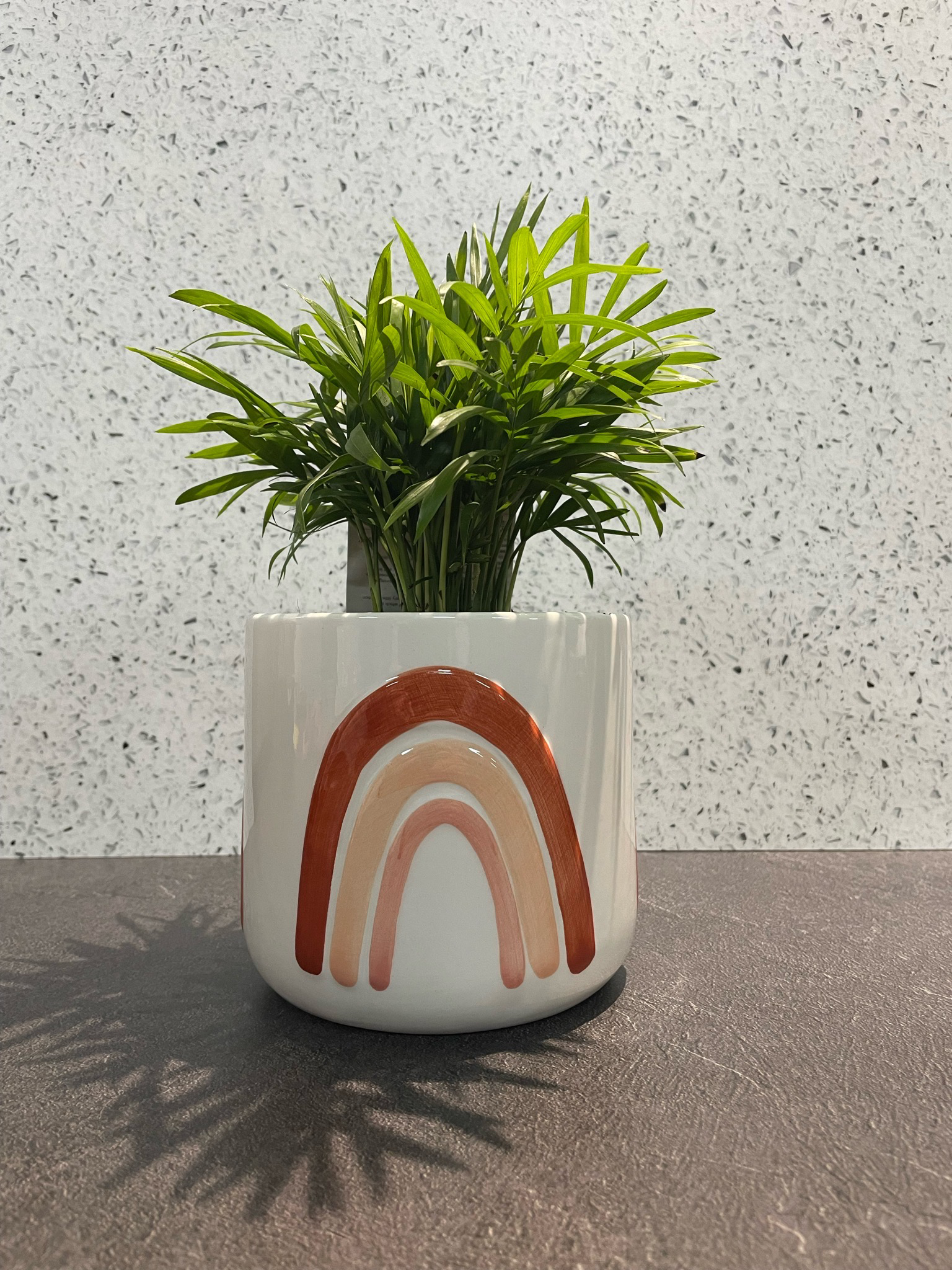 Amber Small Planter - White 14cm h x 14cm w