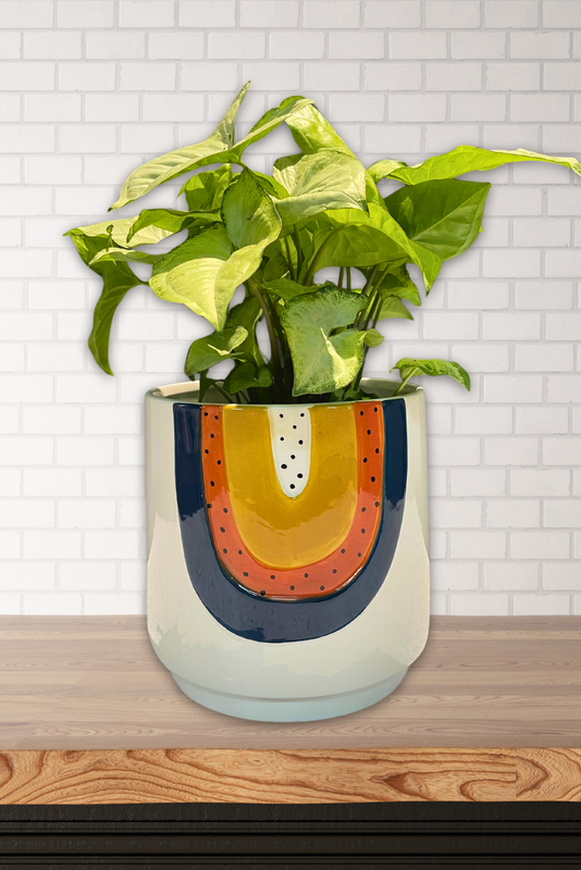 $25 POT PLANT COMBO SALE