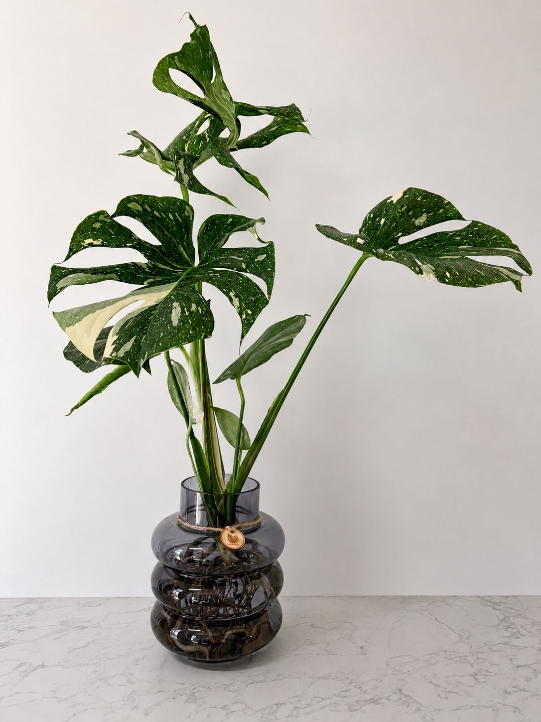 Monstear 'Thai Constellation' in Steel Bubble Vase