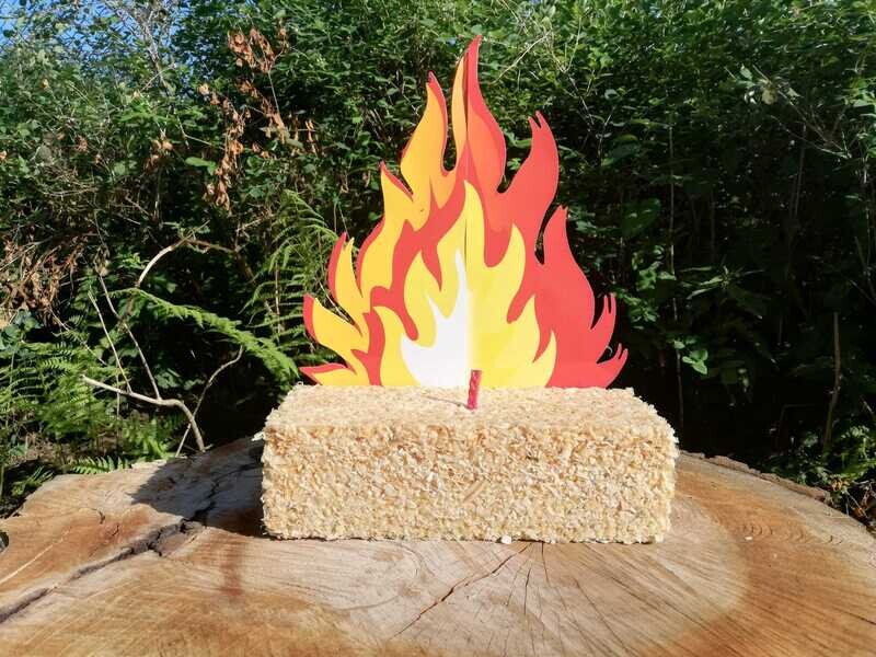 „Feuerziegel“ - Brennelement für Feuerschale/ Gartenfackel uvm.