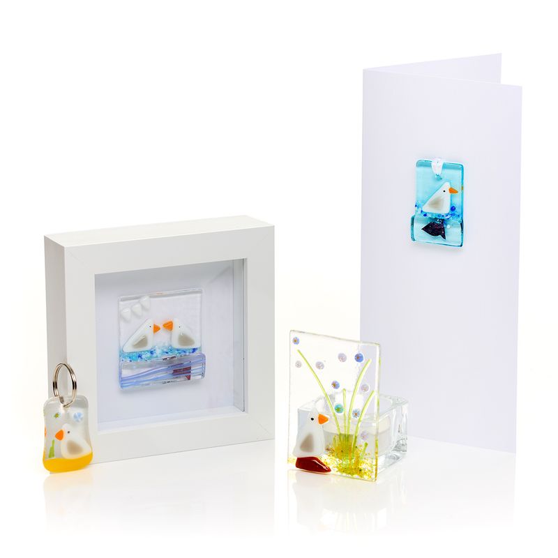 Seagull Fanatics Gift Set