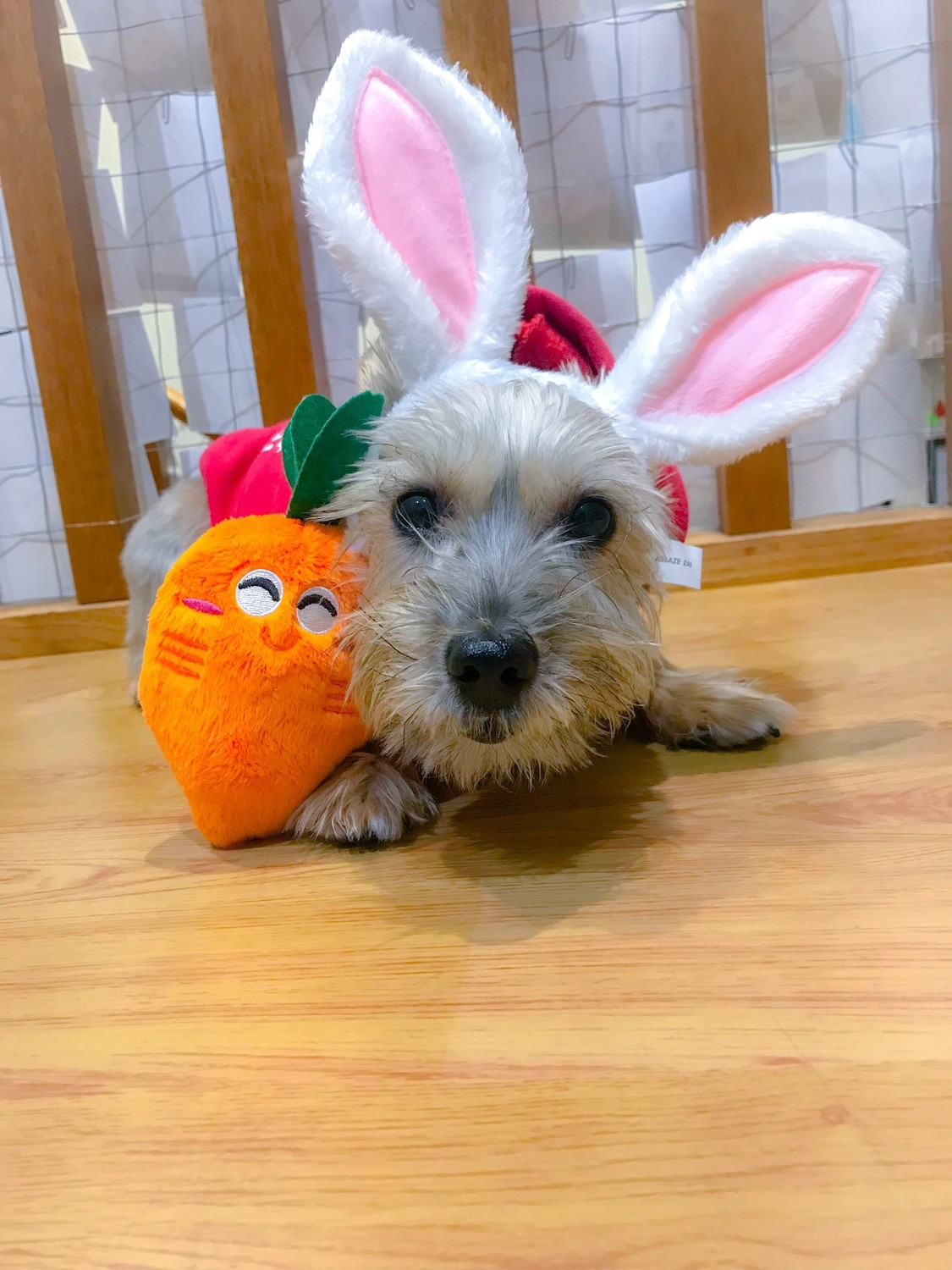 easter dog stuffed animal