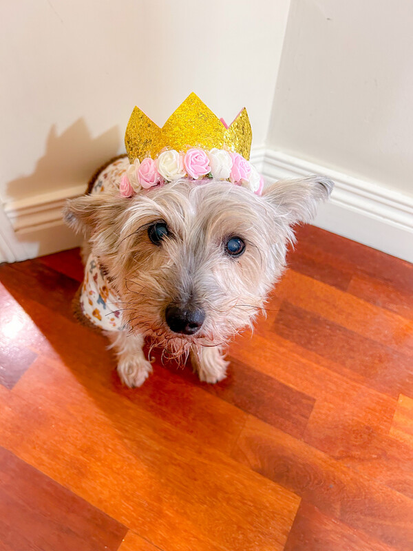 Floral Crown