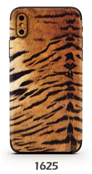 BACK FILM MODEL 1625