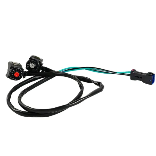 ENDURO  START / STOP SWITCHES TBI