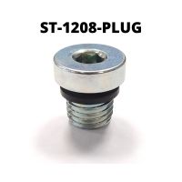 S3  ENDURO CYCLINDER HEAD PLUG 2016