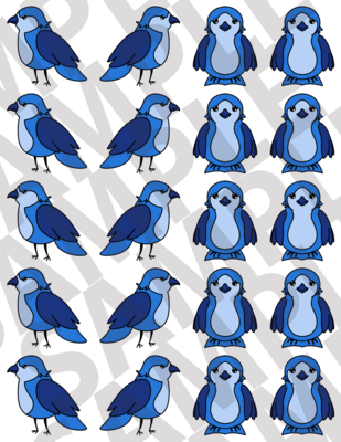 BIRDS