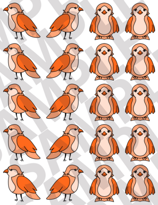 Bright Orange - Birds