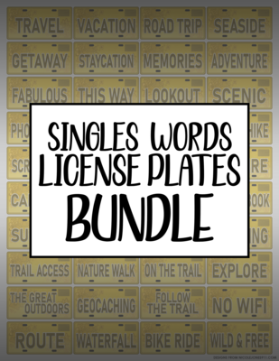 Bundle #128 Singles Words License Plates