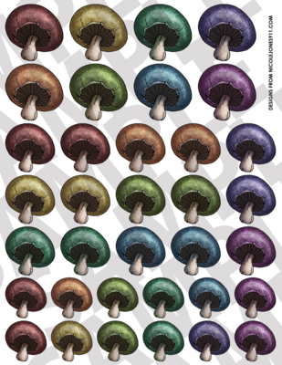 Season Spices - Smaller Mushrooms 3-4