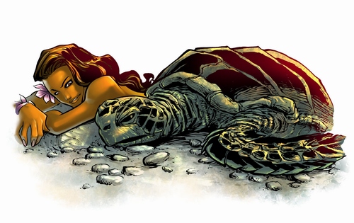 Print 8&quot; x 10&quot;: Honu