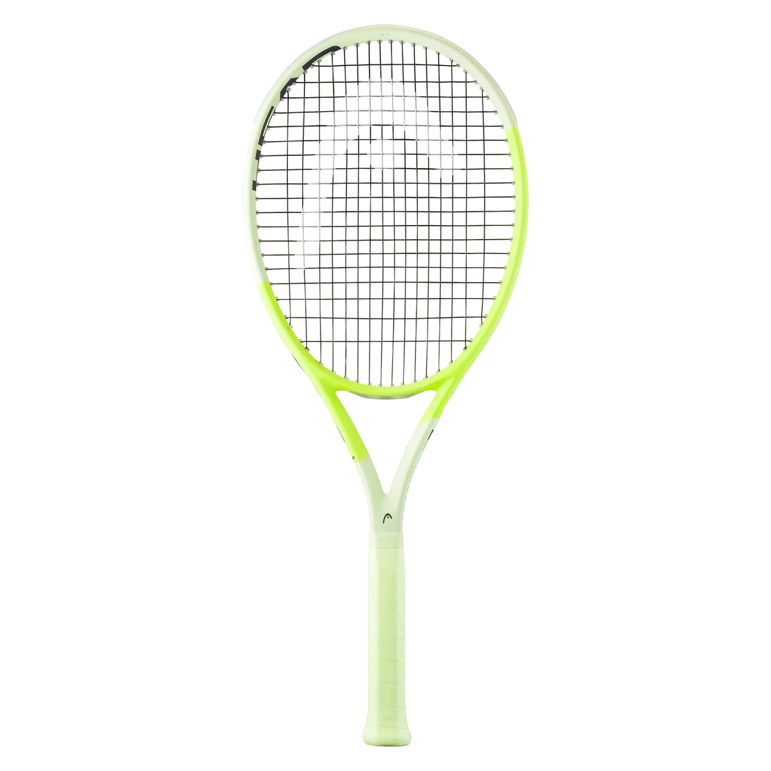 Head Extreme MP 2024