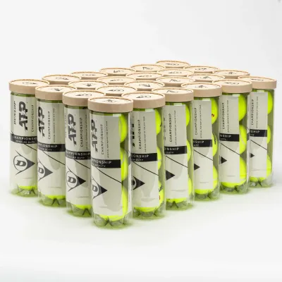Dunlop All Court Tennis Balls (Case)