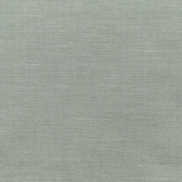 TILDA Chambray Basics Sage