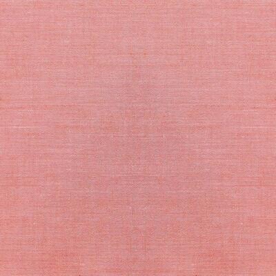TILDA Chambray Basics Coral