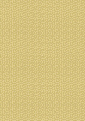 acufactum Kiesel ocker