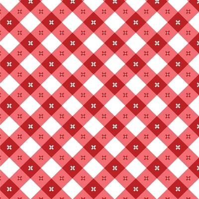 Poppie Cotton Gingham Picnic Napkin - Red