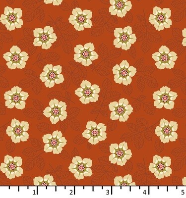 EQP Of Old and New - Buttercup-Pumpkin