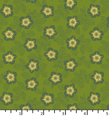 EQP Of Old and New - Buttercup - Forest Green