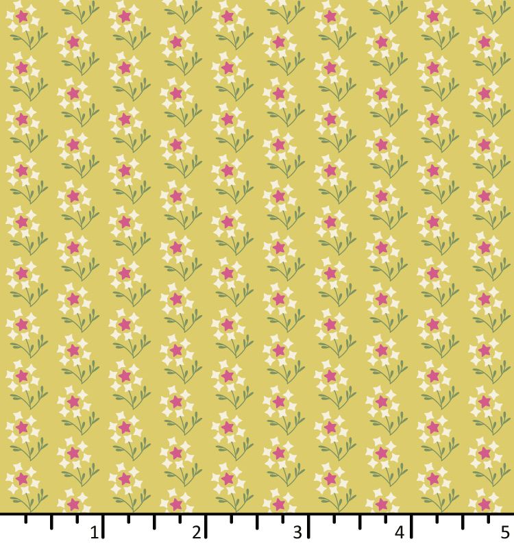 EQP  Future Heirlooms Dandelion Sweet Sunshine