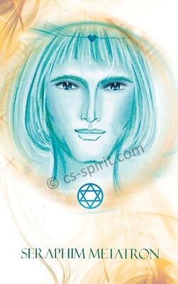 SCHUTZKARTE METATRON