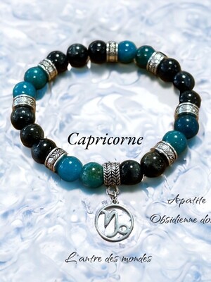 Bracelet en pierres naturelles signe astrologique capricorne