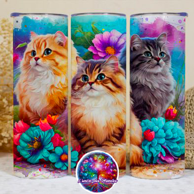 Les 3 chats